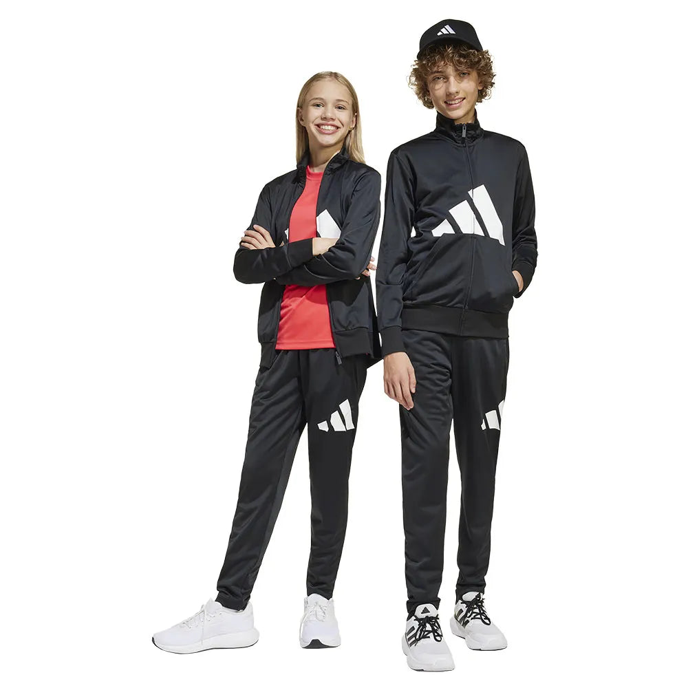adidas Essentials Big Logo Climacool tracksuit