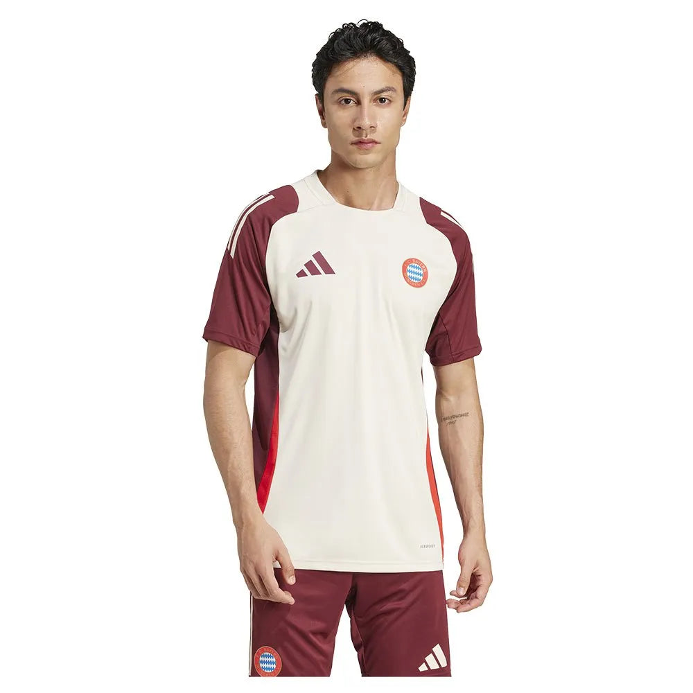 adidas FC Bayern Munich 24/25 EU training short sleeve T-shirt