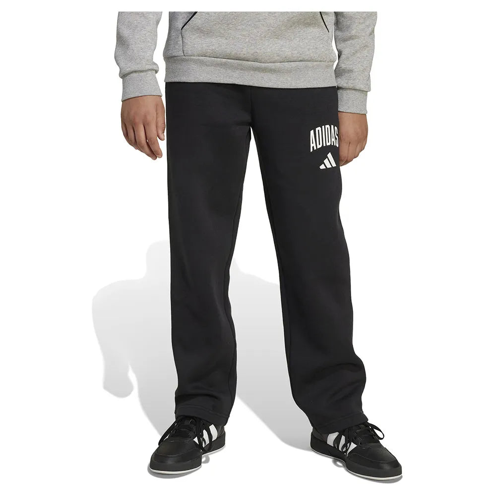 adidas Seasonals Essentials Collegiate Typography pants