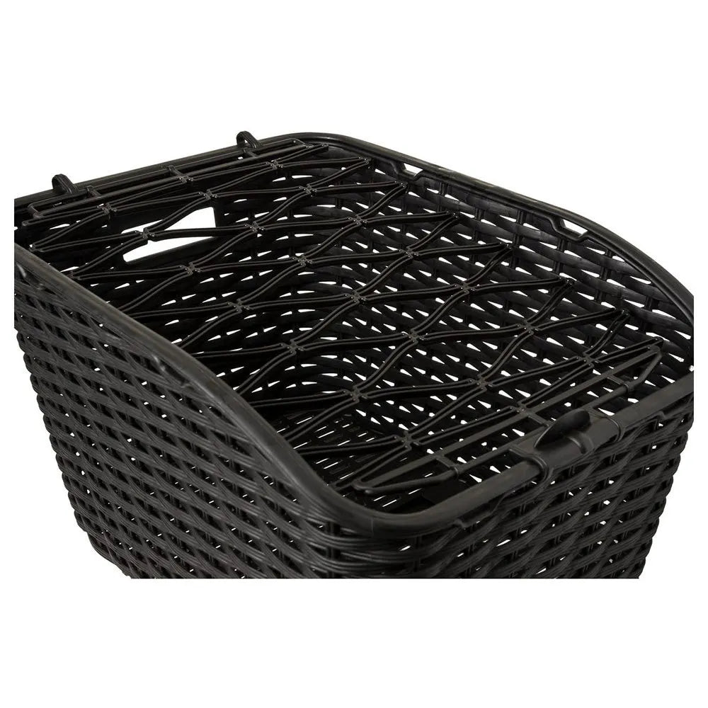 AGU Dante basket