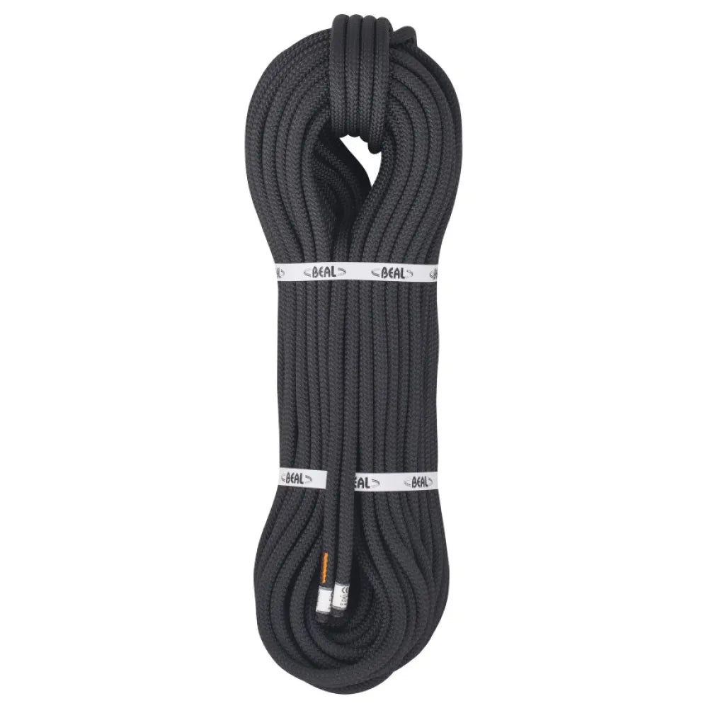 Beal Intervention 11 mm rope