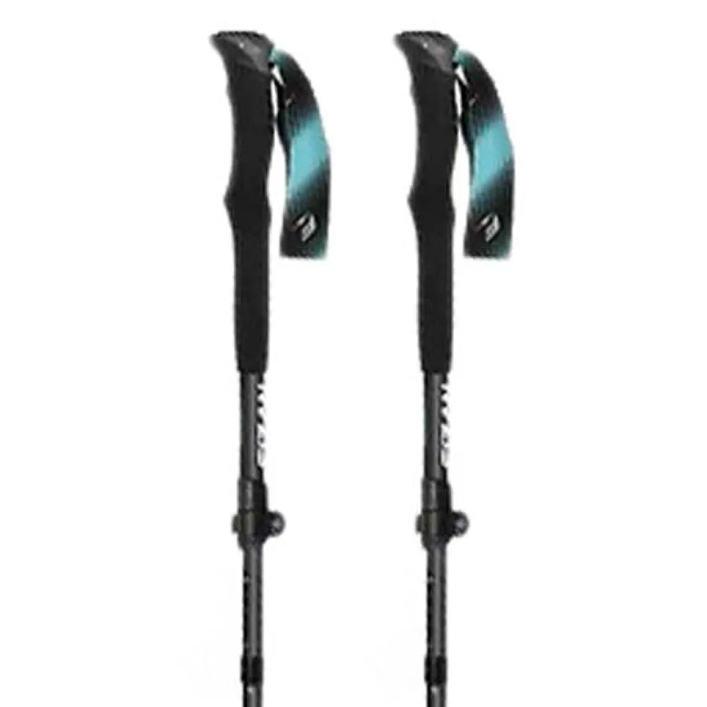Fizan Ultrax Carbon poles