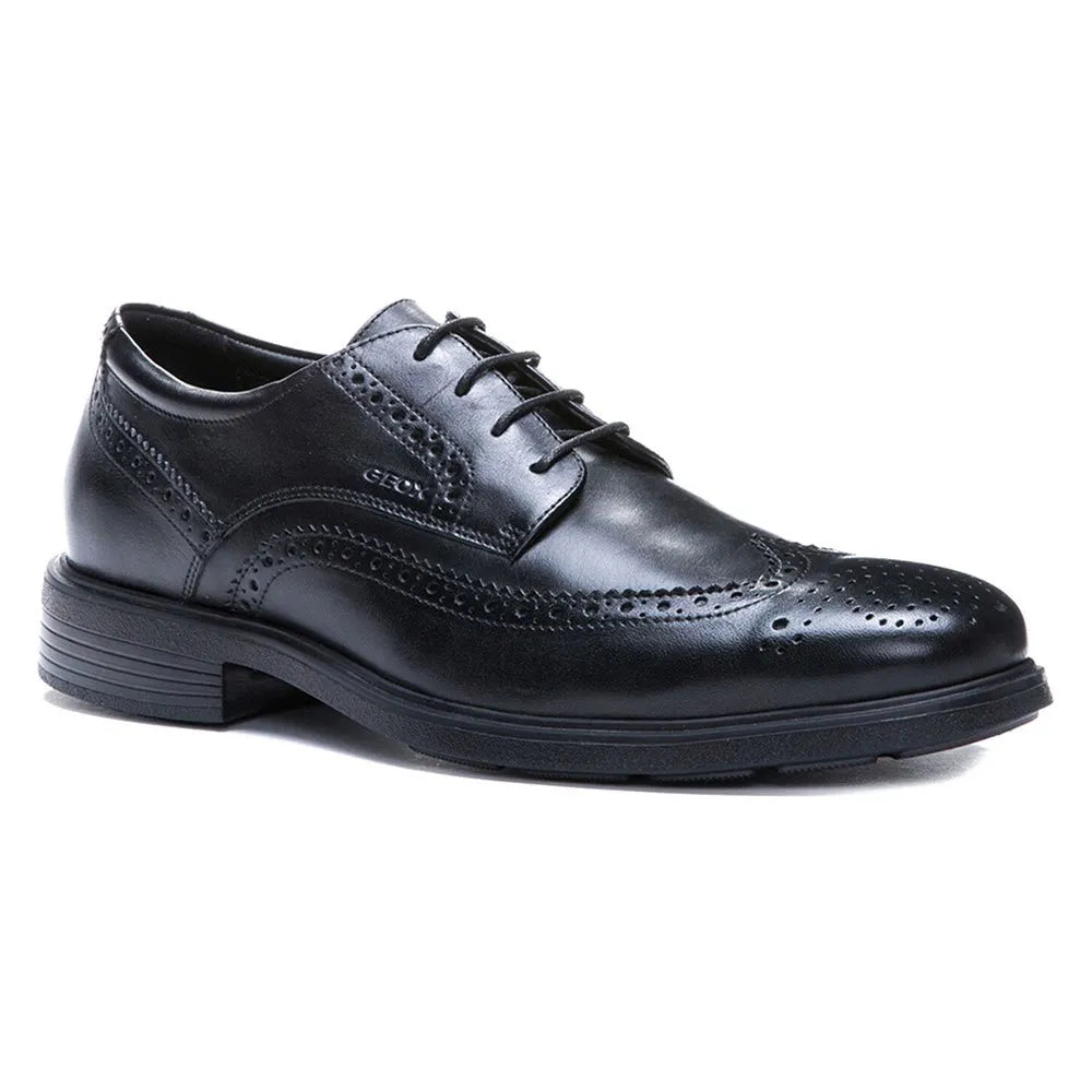 Geox Dublin shoes