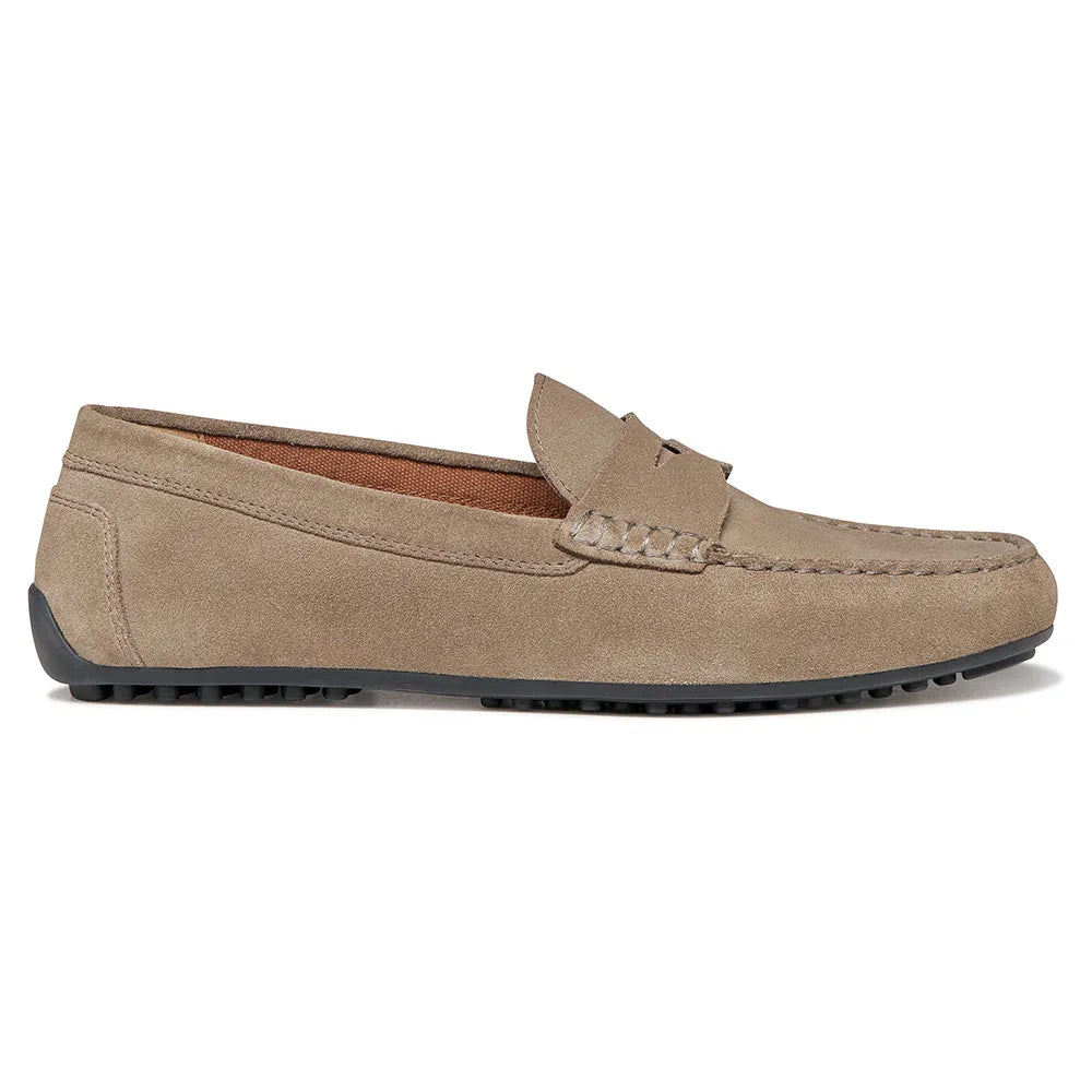 Geox Istria B trainers