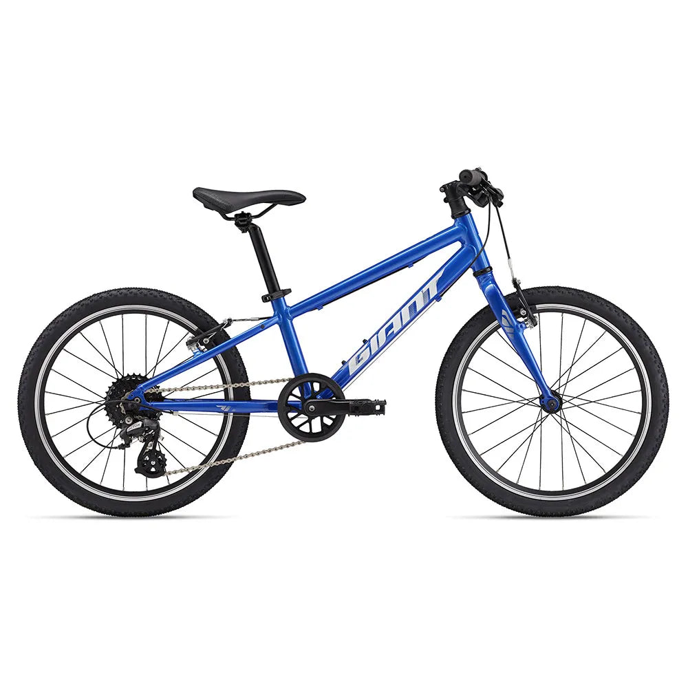Giant ARX 20´´ Altus RD-M310 2025 MTB bike