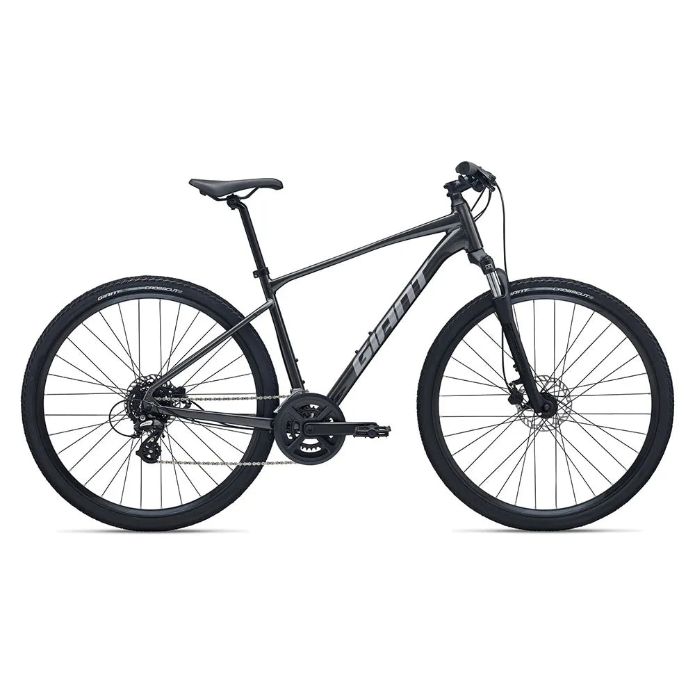 Giant Roam 4 Altus RD-M310 2026 bike