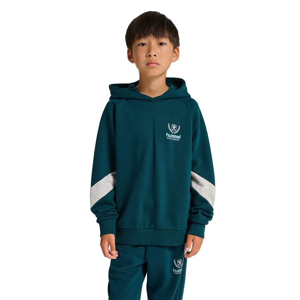 Hummel Loose BTS hoodie