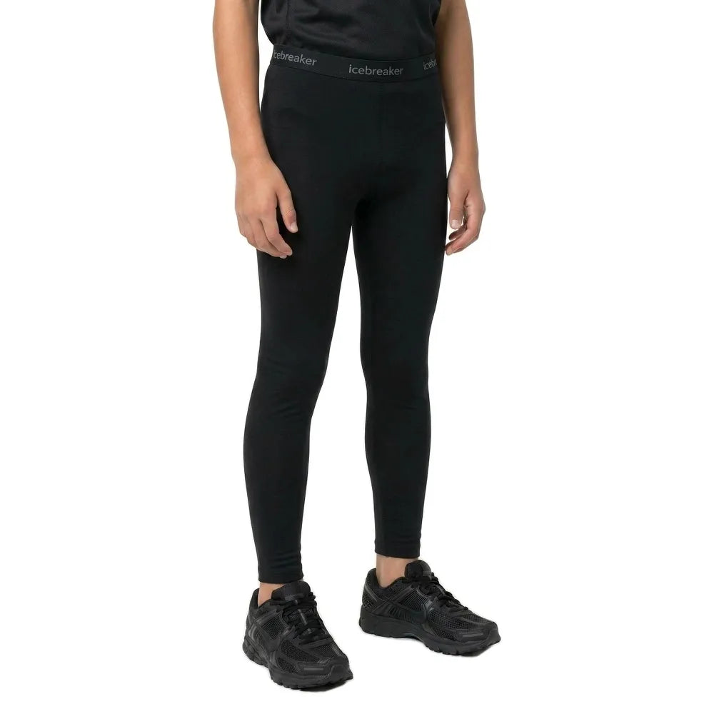 Icebreaker 260 Tech Merino leggings