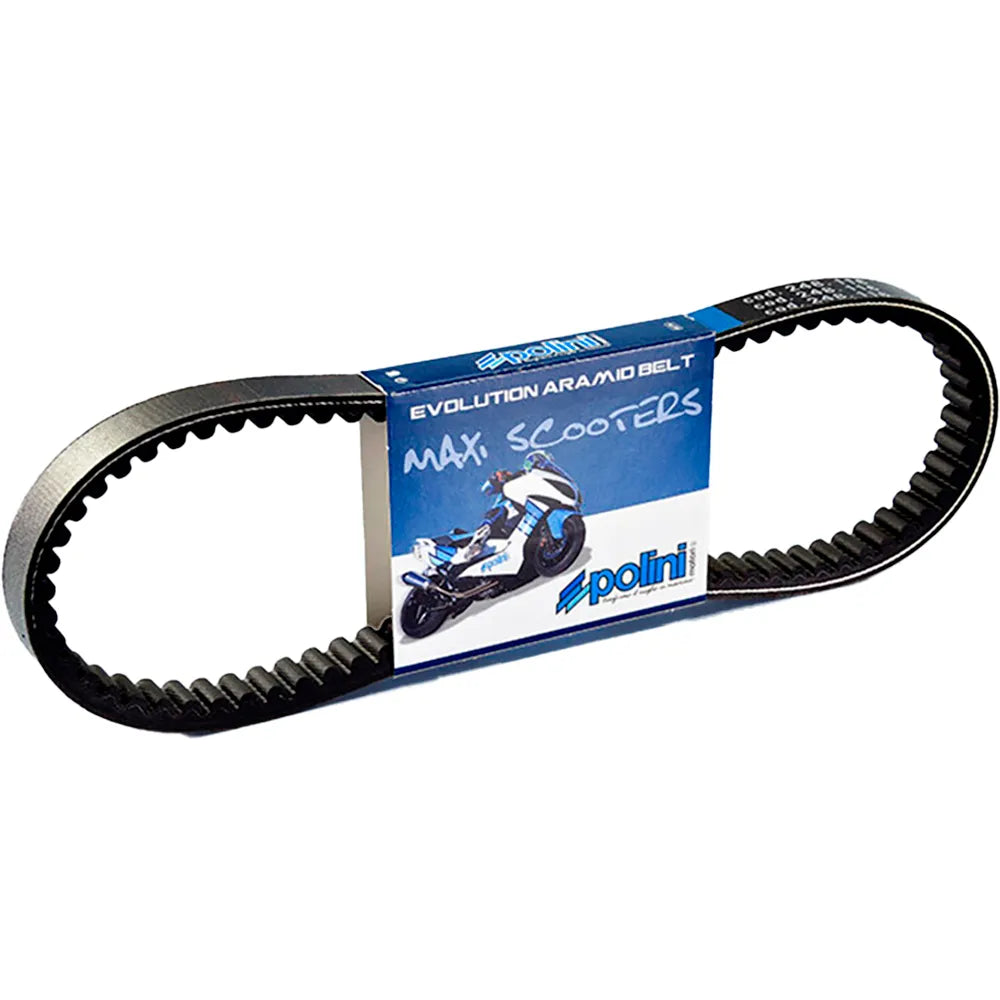 Polini 248082 transmission belt