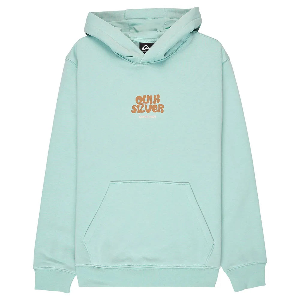 Quiksilver Graphic Youth hoodie
