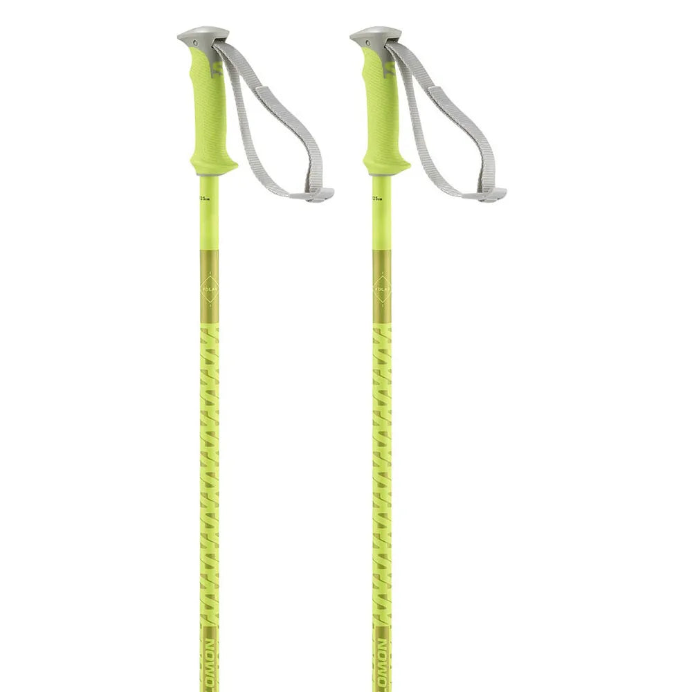 Salomon Polar poles