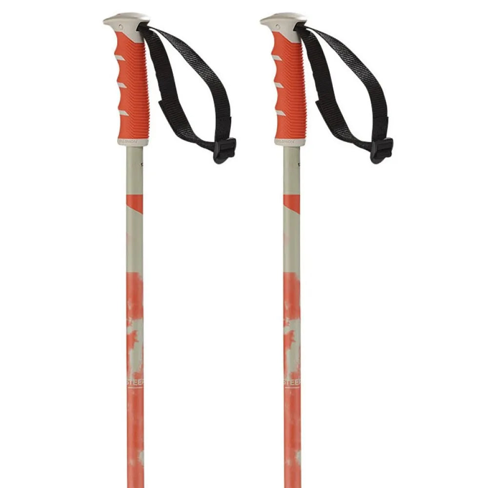 Salomon Steep poles