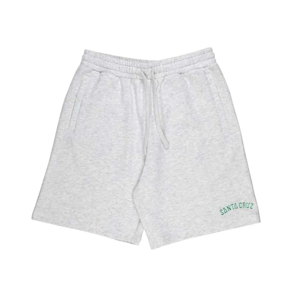 Santa cruz Collegiate shorts