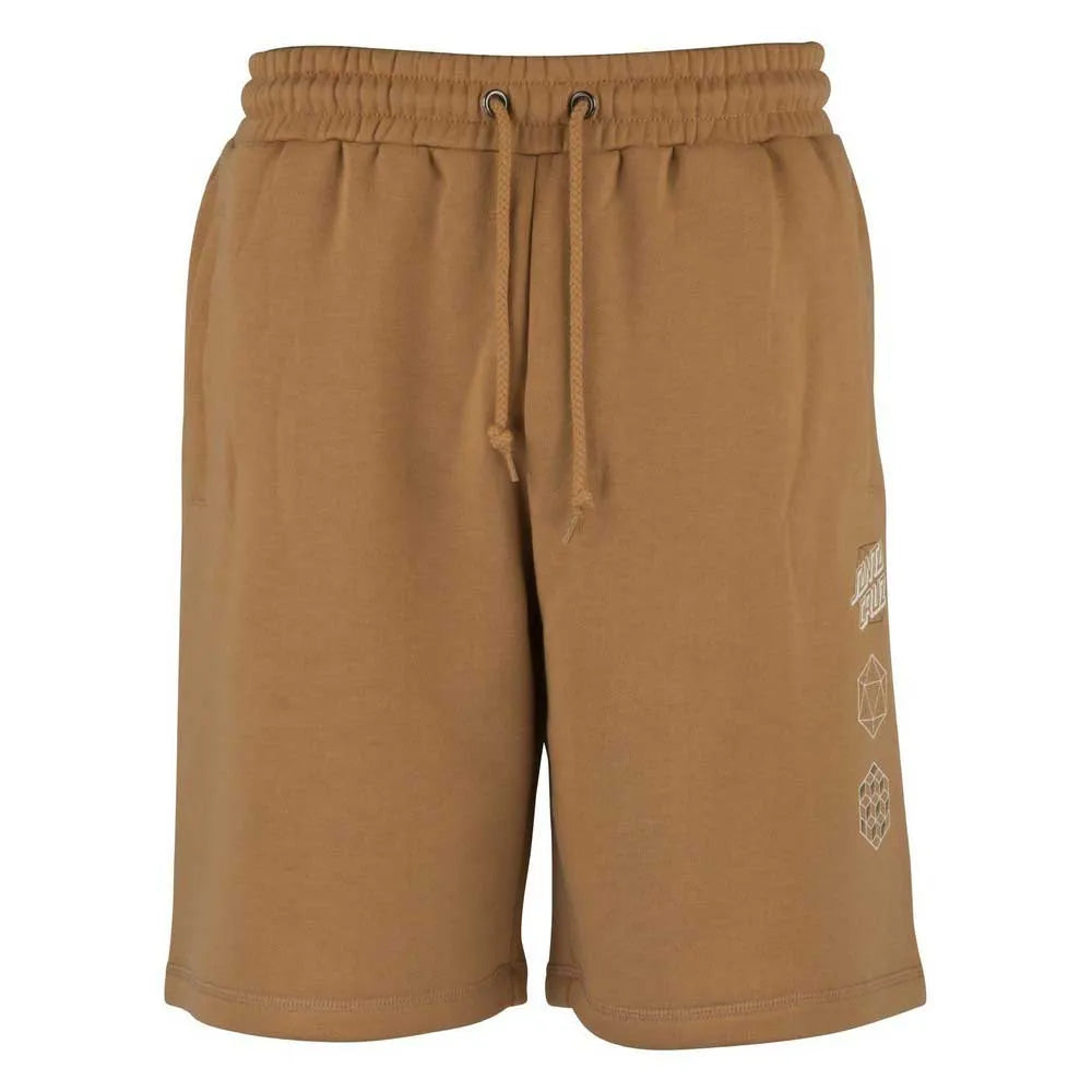 Santa cruz Infinity shorts