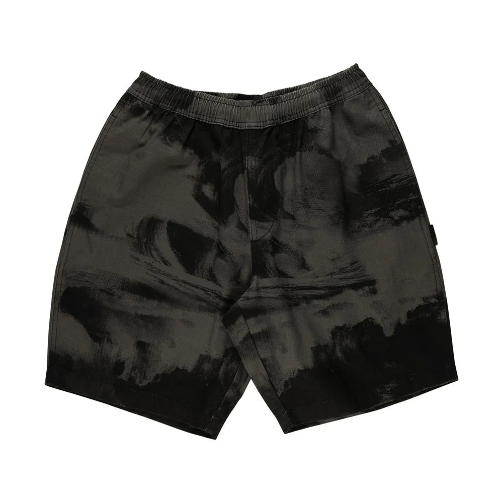 Santa cruz Painters shorts