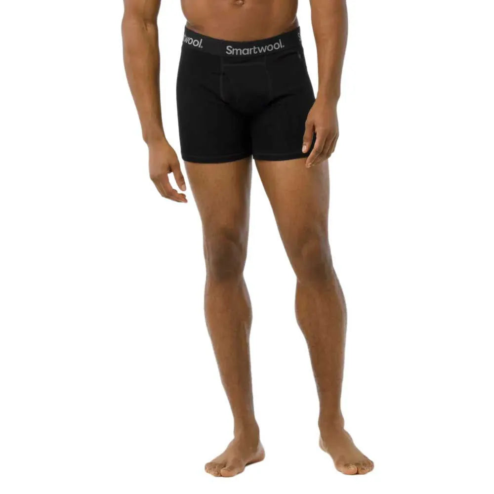 Smartwool Merino Brief boxers