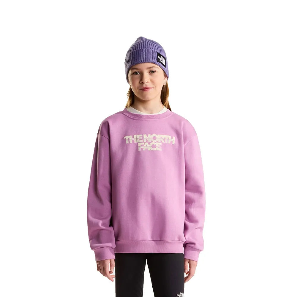 The north face Chalbi Graphic sweatshirt