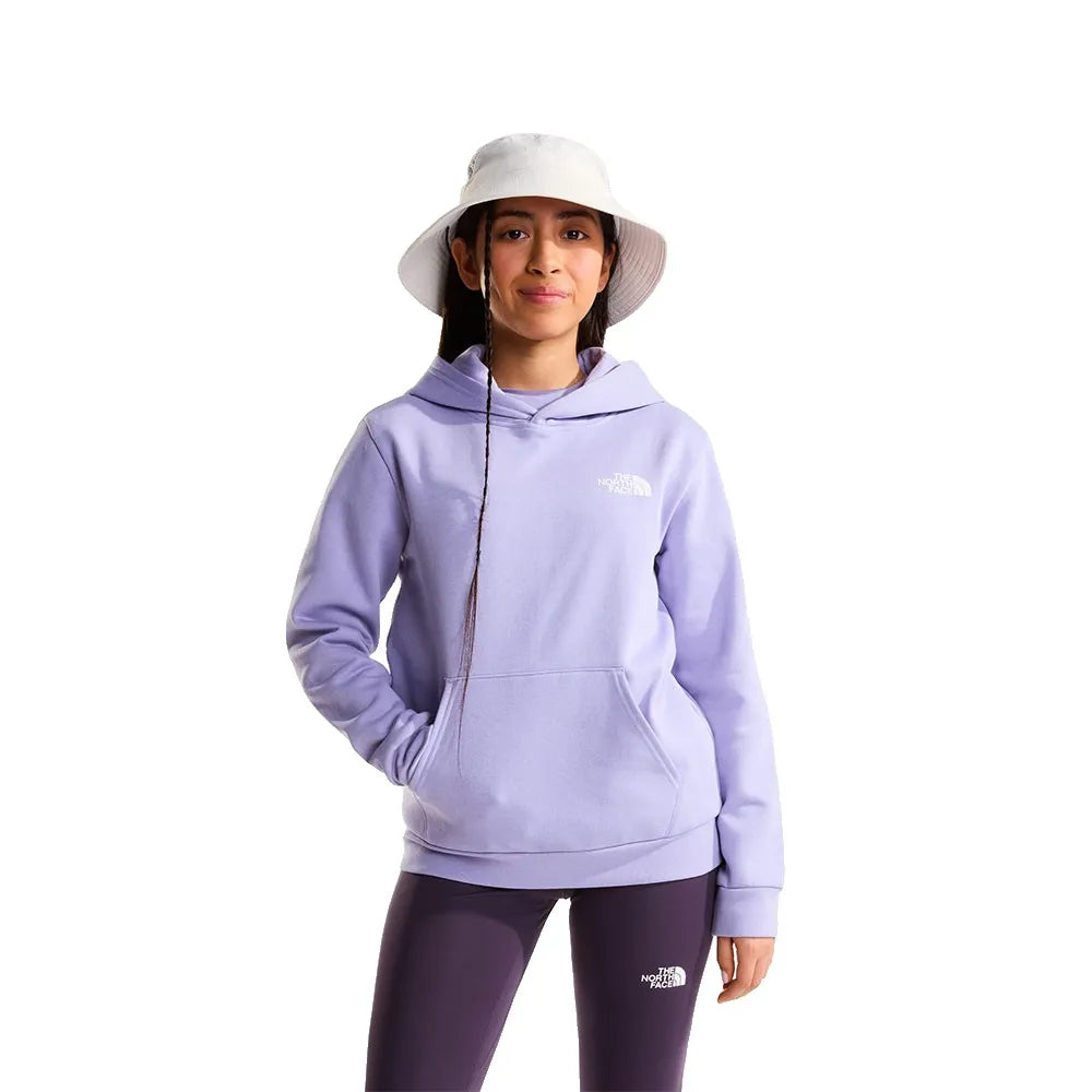 The north face Evolution Box hoodie