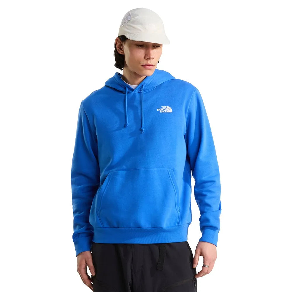 The north face Evolution Box NSE hoodie