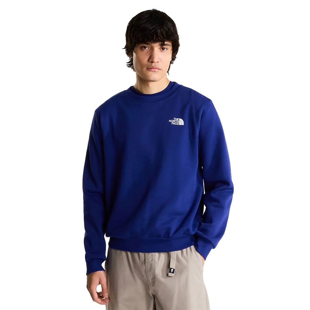 The north face Evolution Box NSE sweatshirt