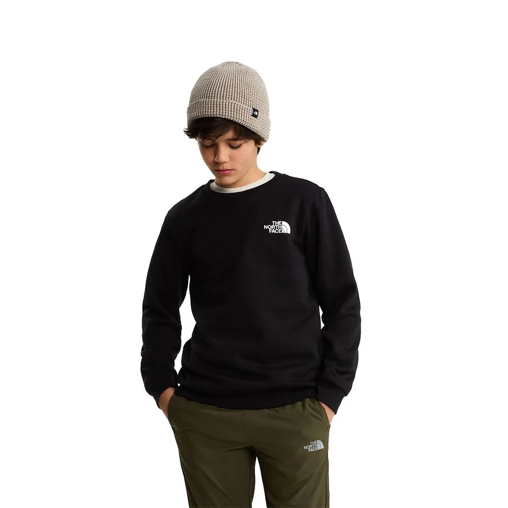 The north face Evolution Box NSE sweatshirt