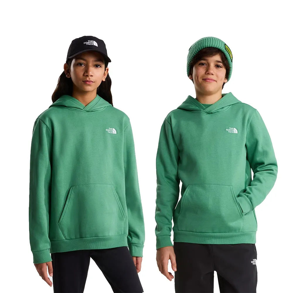 The north face Evolution Simple Dome hoodie
