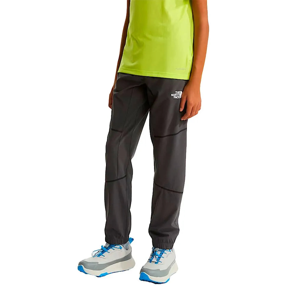 The north face Mountain Athletics pants