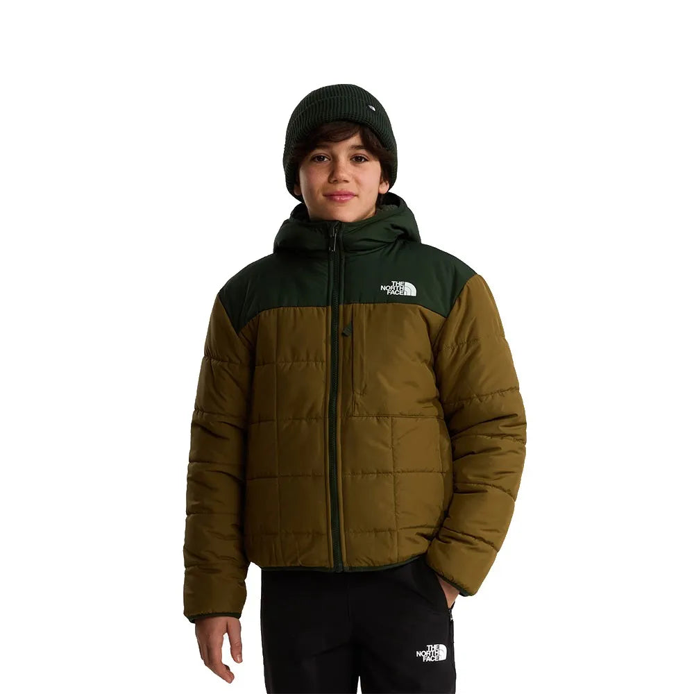 The north face Reversible Shasta jacket