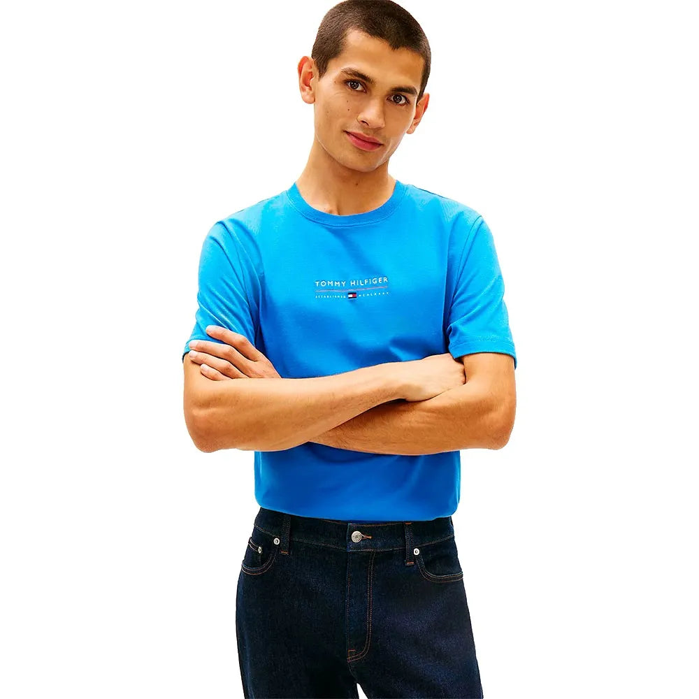 Tommy hilfiger Brand Love MW0MW42363 short sleeve T-shirt