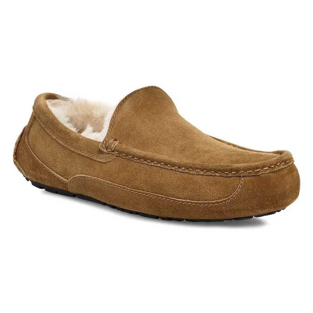 Ugg Ascot slippers