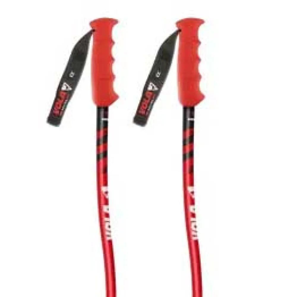 Vola aluminium Gs senior Nordic sr Sl alu-carbon world cup poles