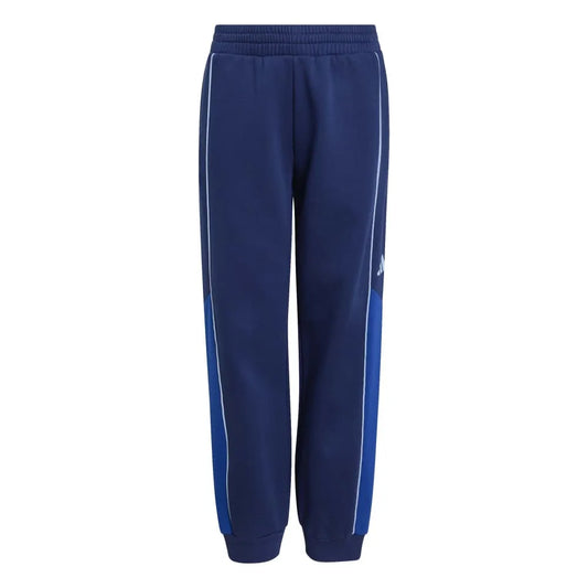 adidas Color Block joggers