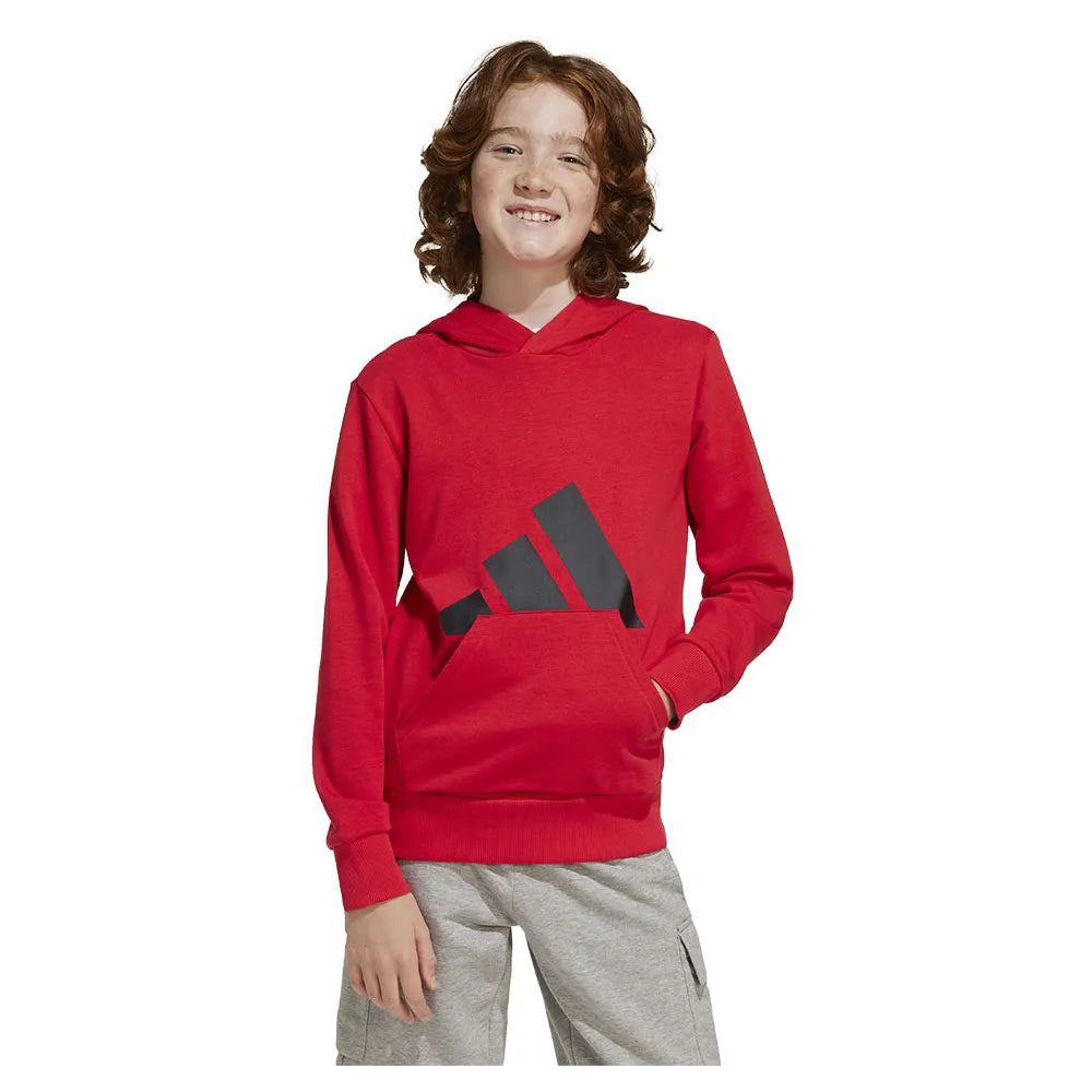 adidas Essentials Big Logo hoodie