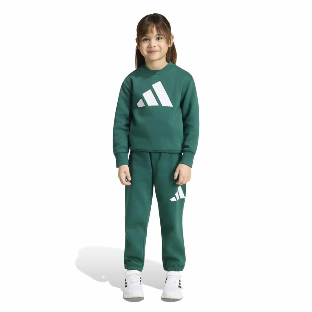adidas Essentials Joggers LK set