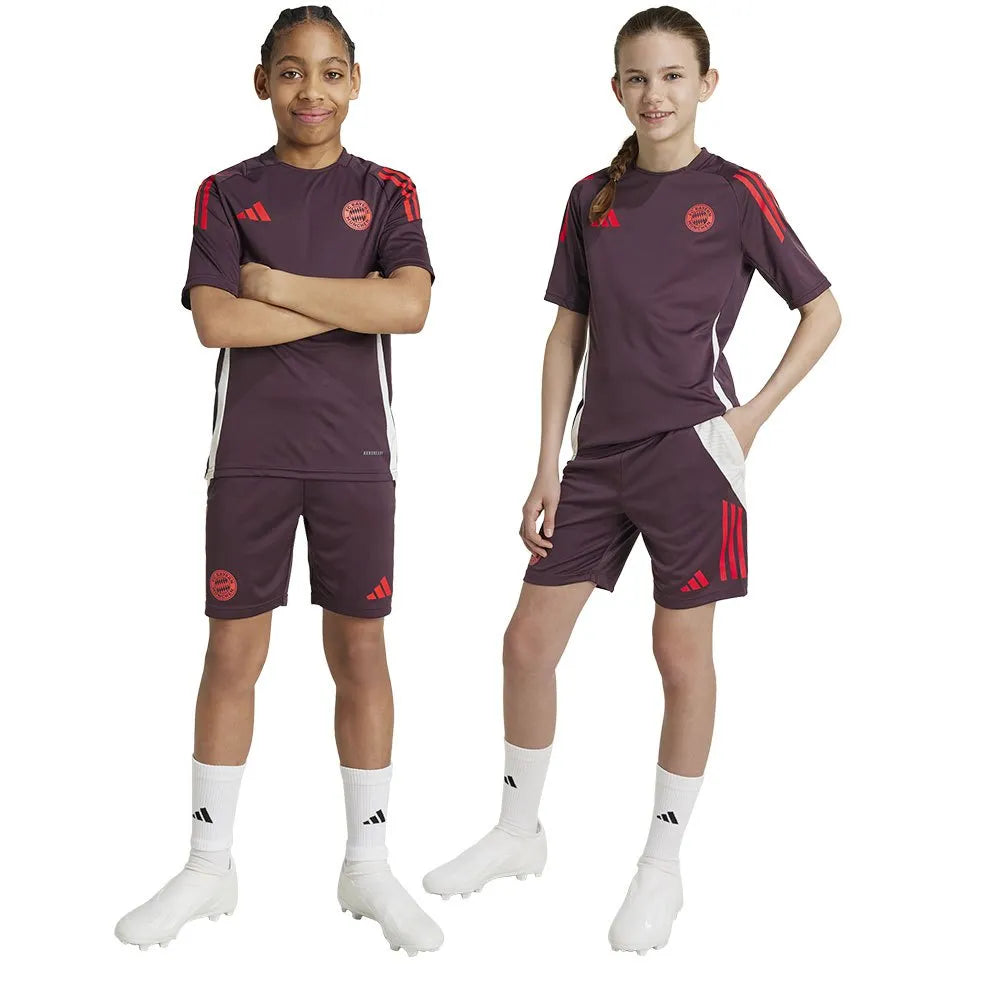 adidas FC Bayern Munich 24/25 training junior shorts