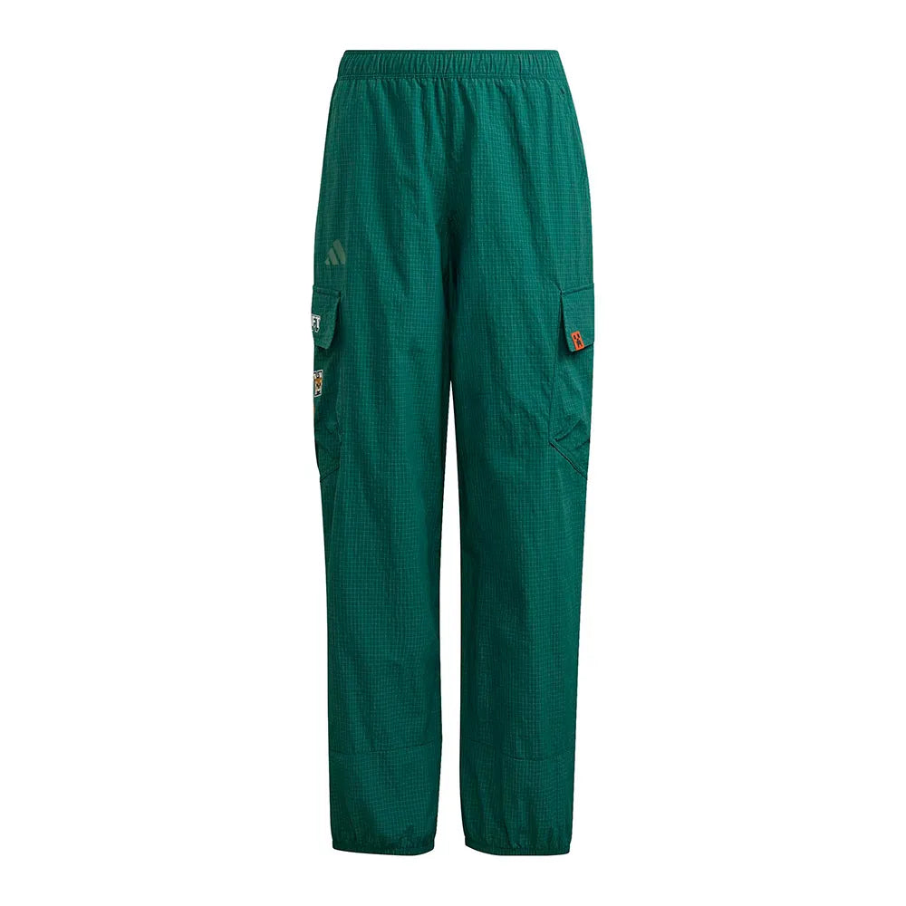 adidas Minecraft Terrex Clima365 Cargo pants