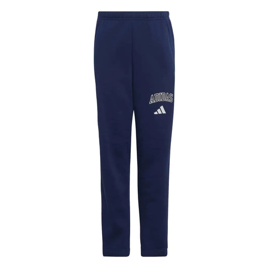 adidas Seasonals Collegiate Typography joggers