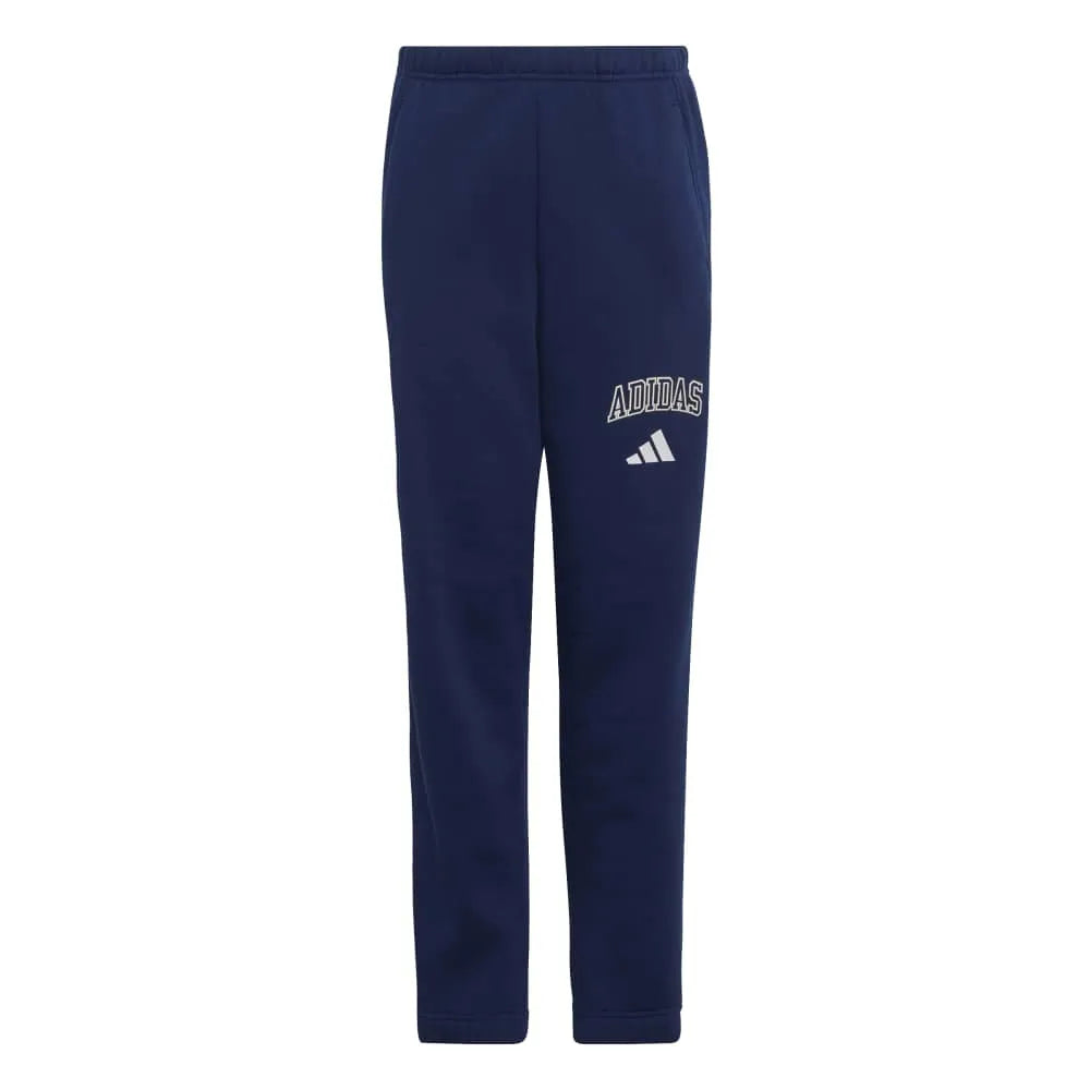 adidas Seasonals Collegiate Typography joggers