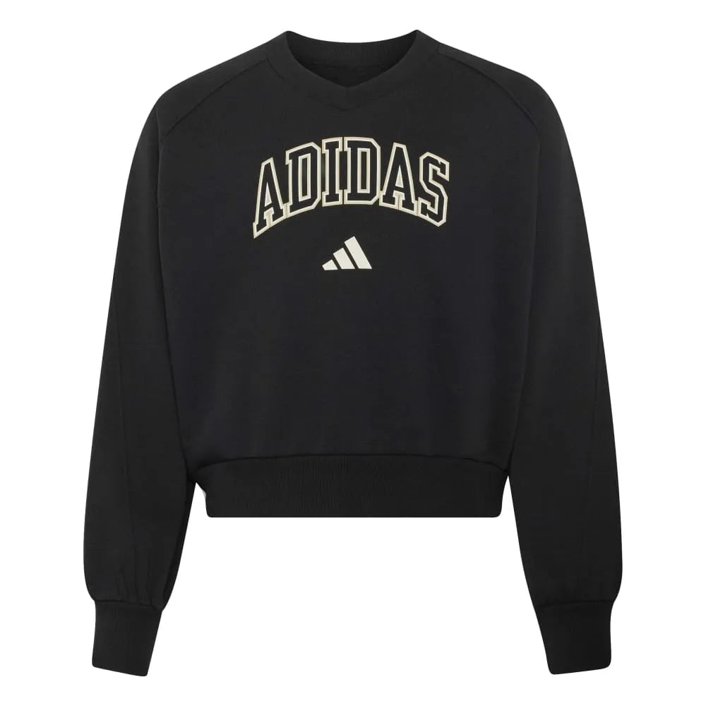 adidas Seasonals Collegiate Typography V-Neck sweatshirt