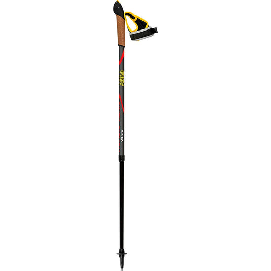 Asolo Nordic Vario poles
