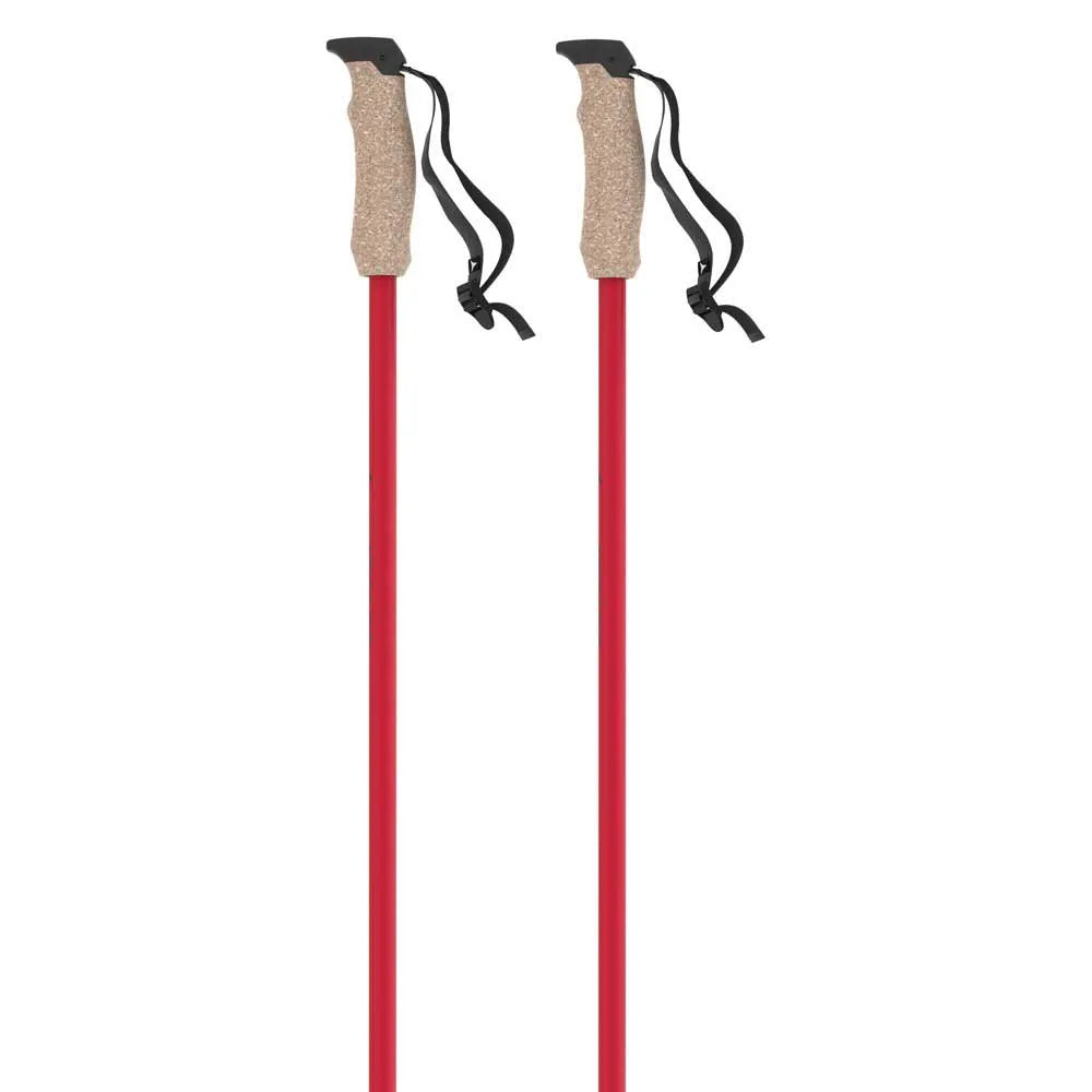 Atomic AMT Carbon poles