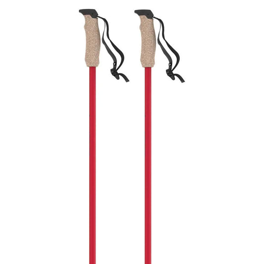 Atomic AMT Carbon poles