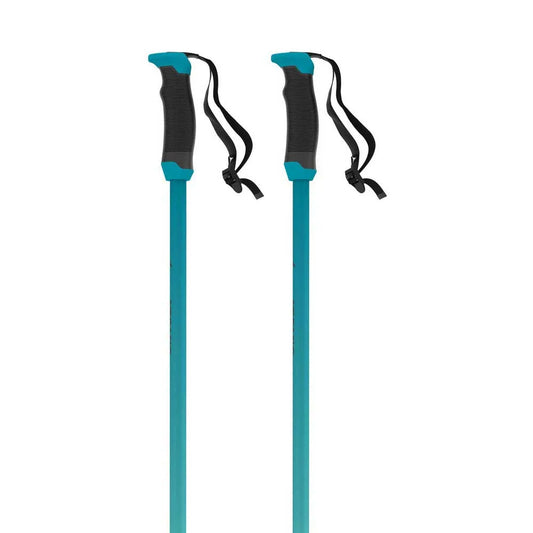 Atomic Redster X SQS poles