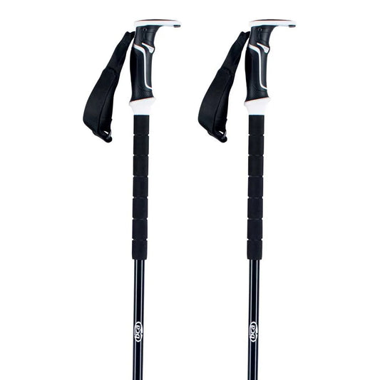 Bca Scepter Carbon poles