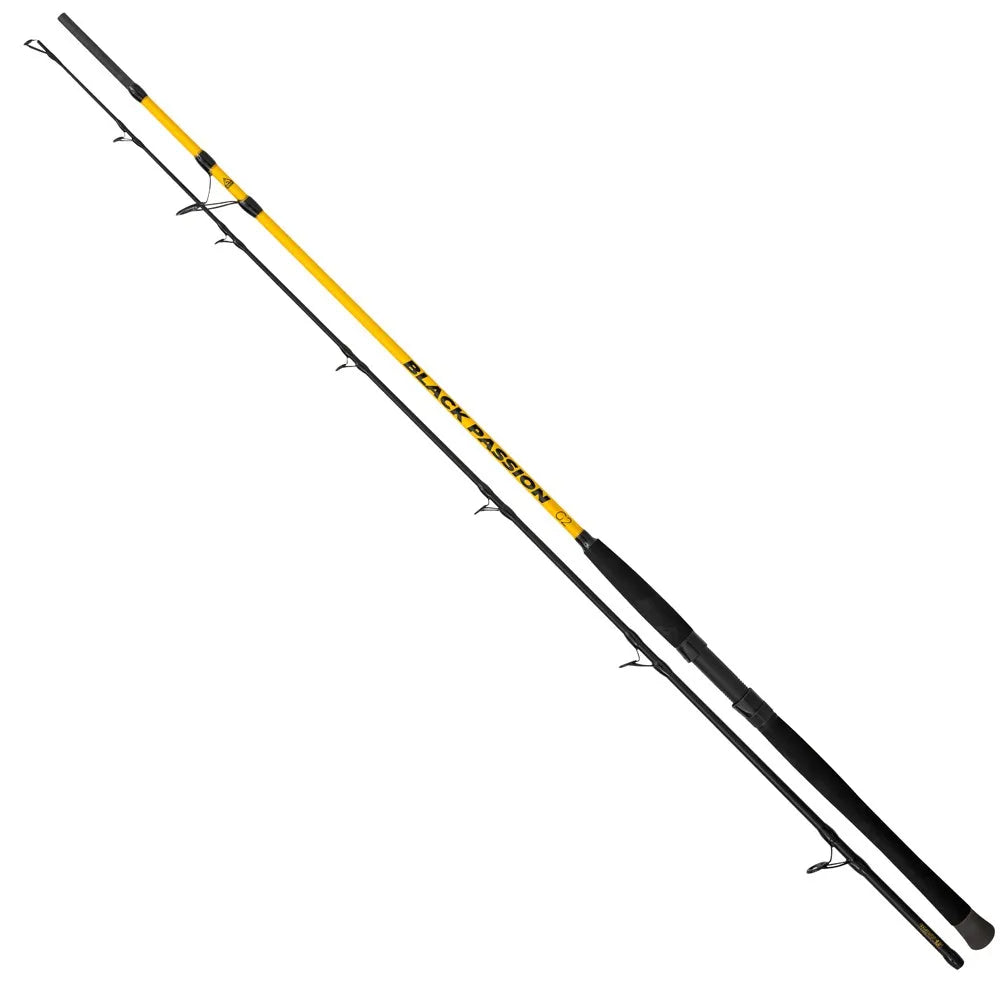 Black cat Black Passion G2 Catfish Rod