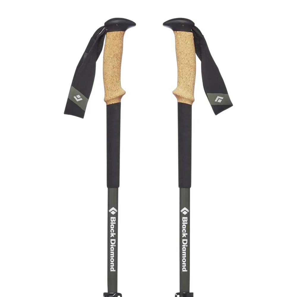 Black diamond Alpine Carbon Cork poles