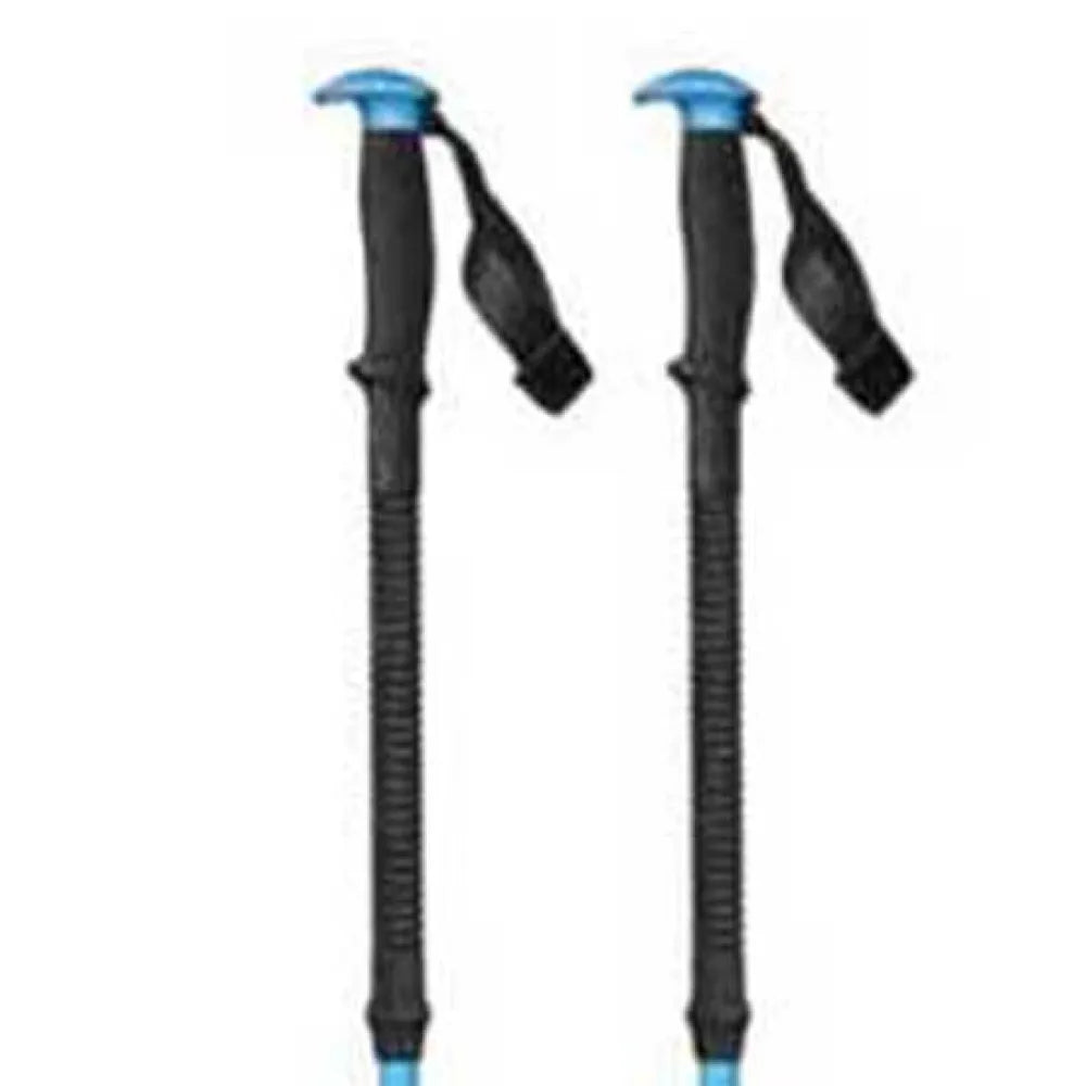 Black diamond Expedition poles