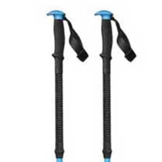 Black diamond Expedition poles