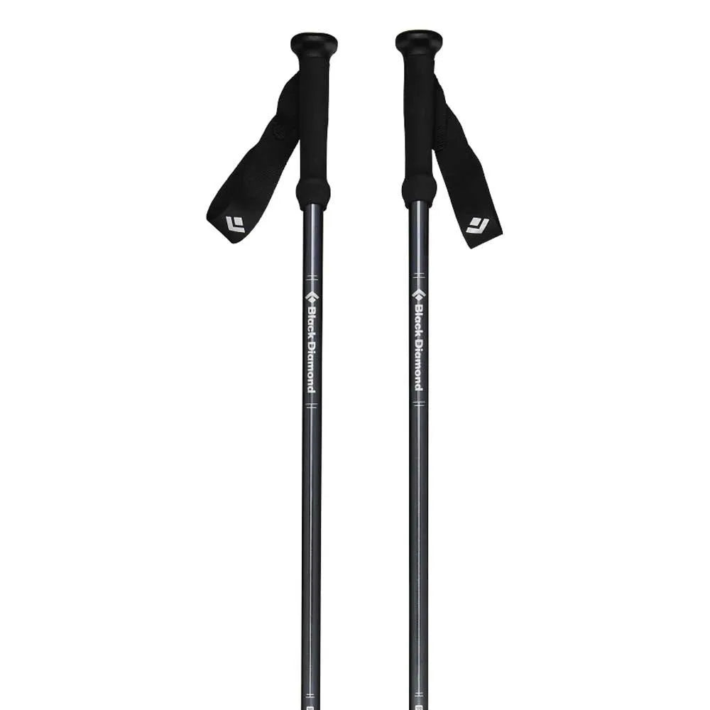 Black diamond Explorer 2 poles
