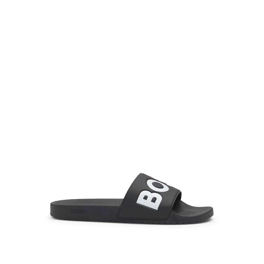 BOSS Aryeh 10251721 slides